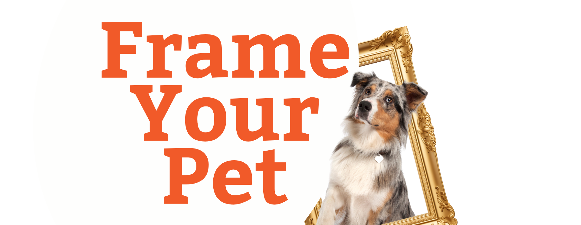 RAM Frame Your Pet